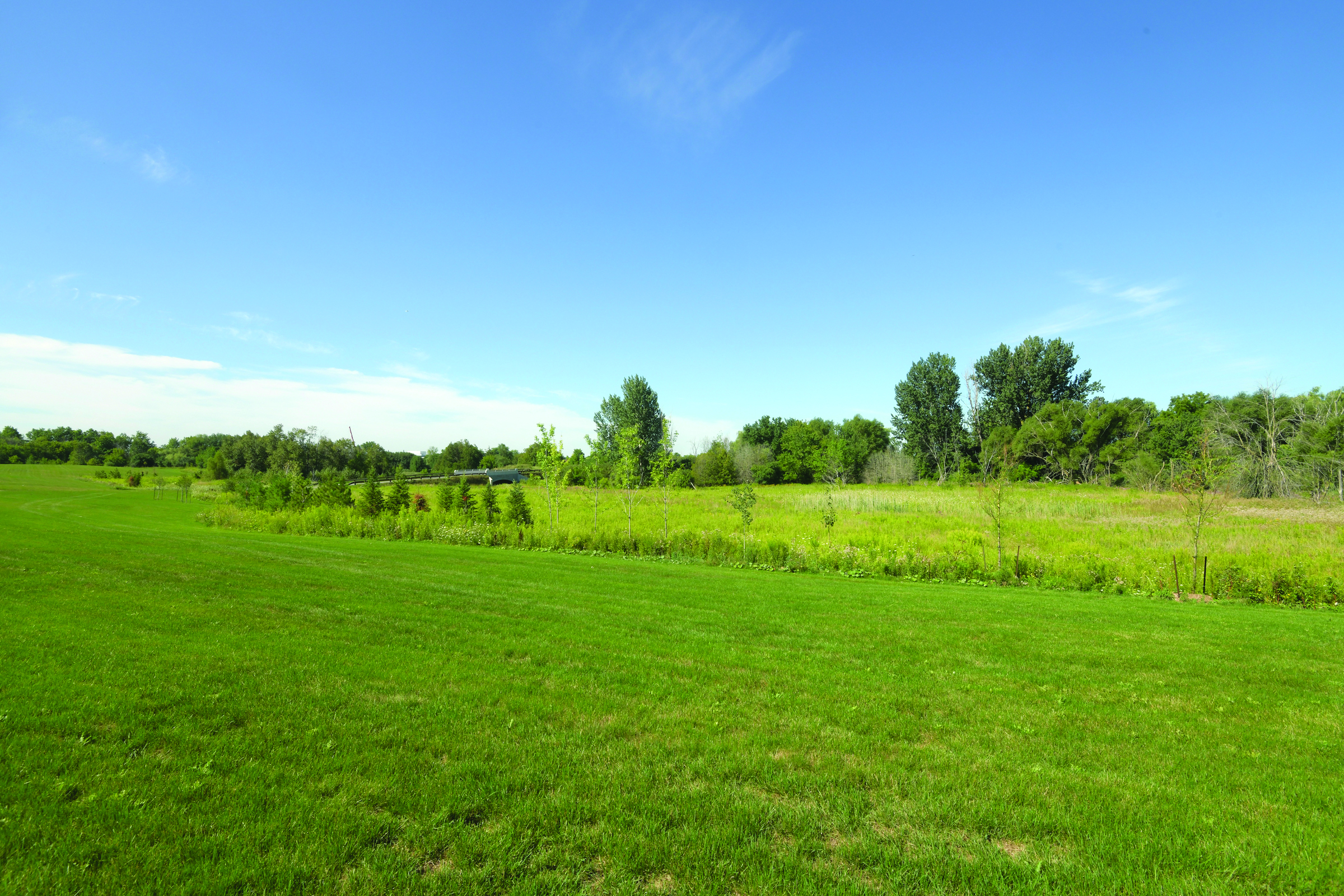 The meadow at Elgin Mills